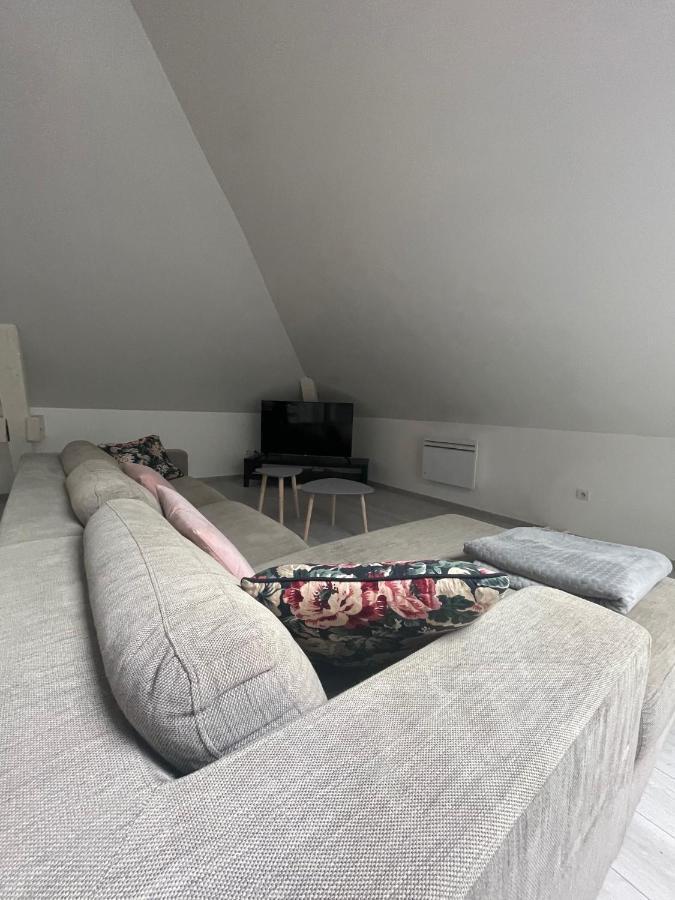Apartamento Dream Loft Colmar Exterior foto